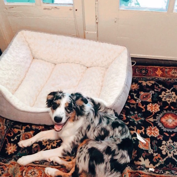 My Angel Luna ๐๐ - Picture 3 of 3